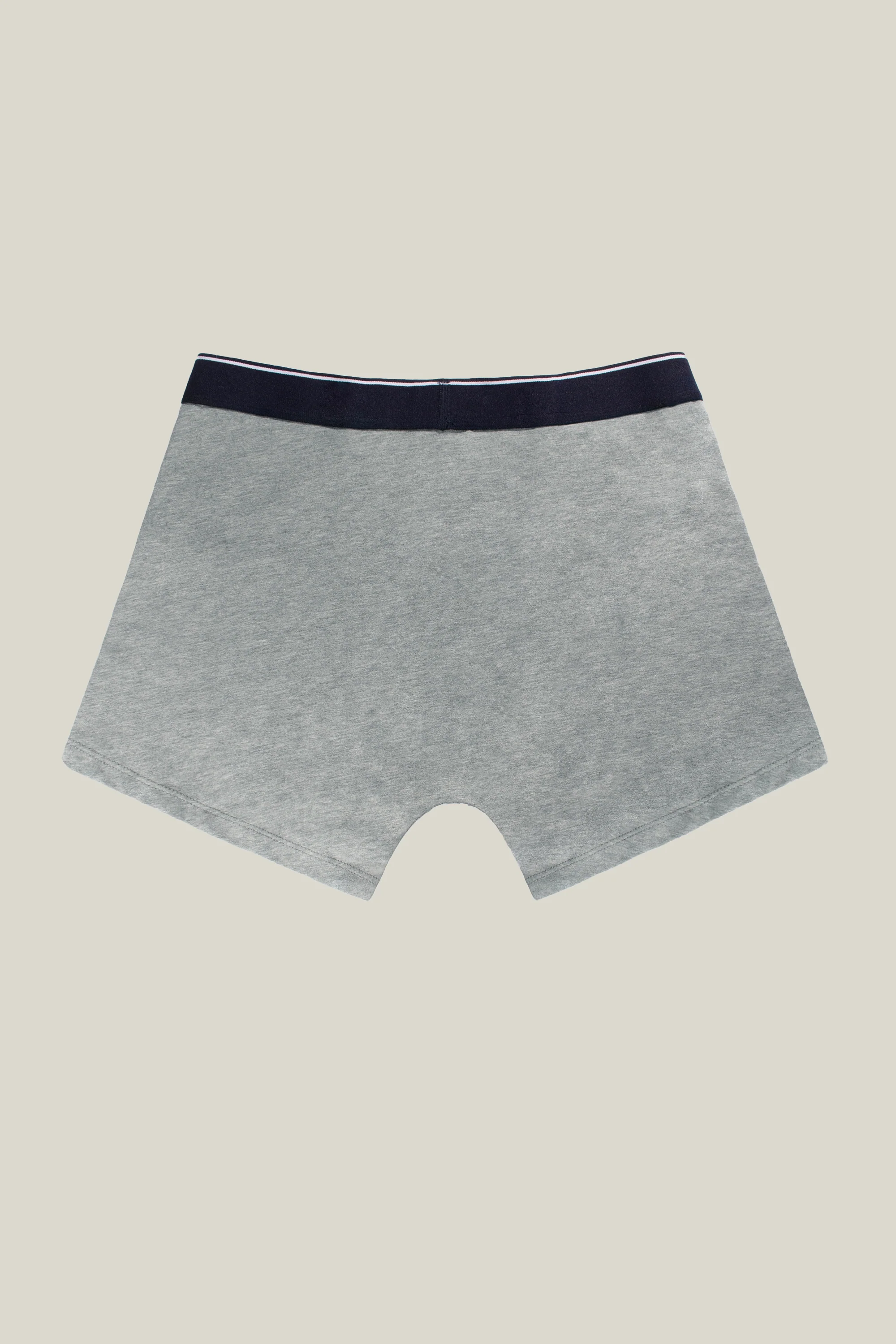 Boxer gris chiné - Image 4